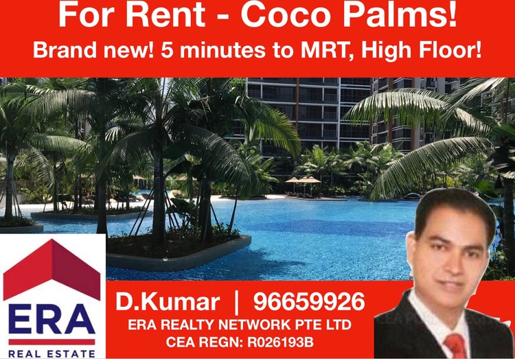 Coco Palms thumbnail photo